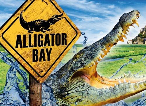 Alligator Bay - Gites Maisons de Familles